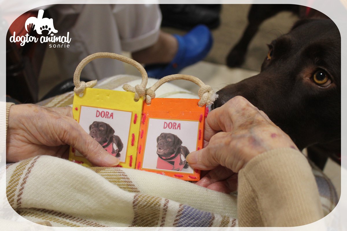 dogtoranimal's tweet photo. Trabajar la memoria siempre es mรกs divertido y ameno en compaรฑรญa de nuestros coterapeutas. @BayerEspana #dogmemory https://t.co/6XY4oxnI8k