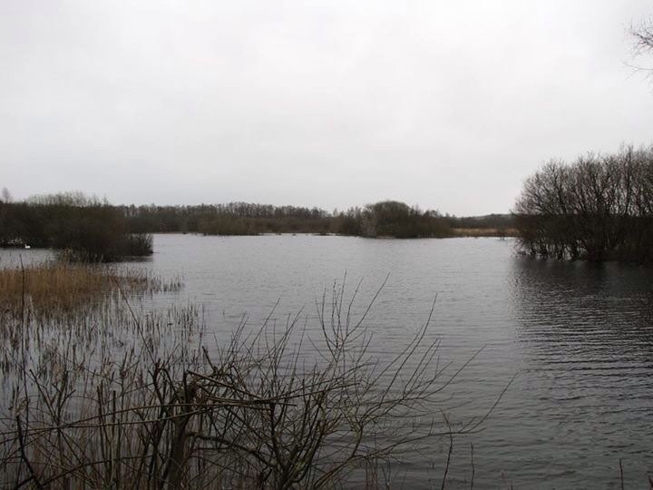 A little part of the big pit I'll be on this year. Unknown stock and rarely fished. Can't wait, first trip Saturday!