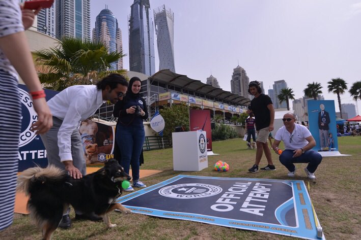 DiversionGroup's tweet photo. Stay tuned for more #DubaiSocialPetPark #PetLovers #MyDubai #Dubai #EventsInDubai #dxb #mydxb #UAE https://t.co/kZj5eu1t3F