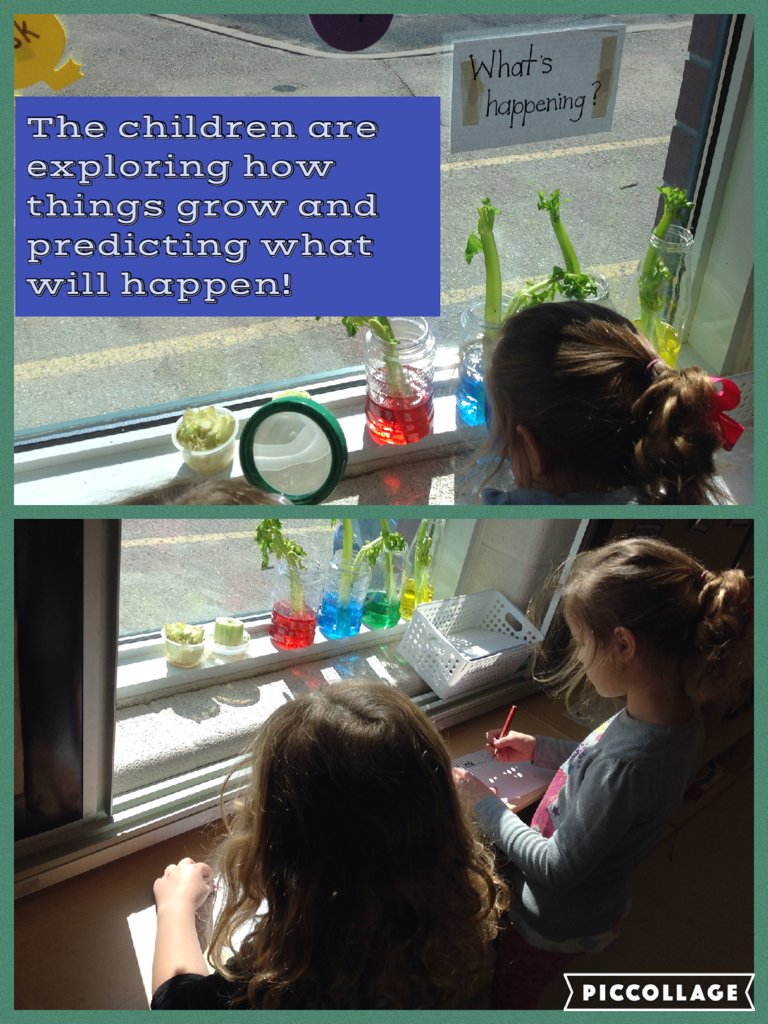 fdk102stcofa's tweet photo. The children are exploring how things grow and predicting what will happen! https://t.co/7wdFW56vde https://t.co/XC2L8p9IKv