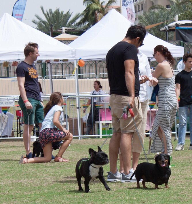 DiversionGroup's tweet photo. Stay tuned for more #DubaiSocialPetPark #PetLovers #MyDubai #Dubai #EventsInDubai #dxb #mydxb #UAE https://t.co/PpjxrlPaKE