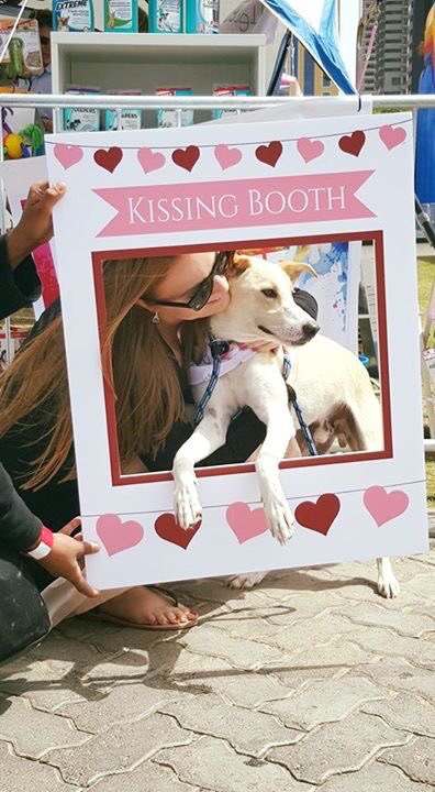 DiversionGroup's tweet photo. Stay tuned for more #DubaiSocialPetPark #PetLovers #MyDubai #Dubai #EventsInDubai #dxb #mydxb #UAE https://t.co/x75H1oeXUT