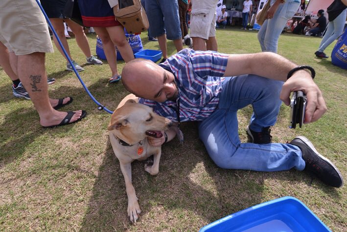 DiversionGroup's tweet photo. Stay tuned for more #DubaiSocialPetPark #PetLovers #MyDubai #Dubai #EventsInDubai #dxb #mydxb #UAE #DubaiLife https://t.co/EzzfJhyU6B