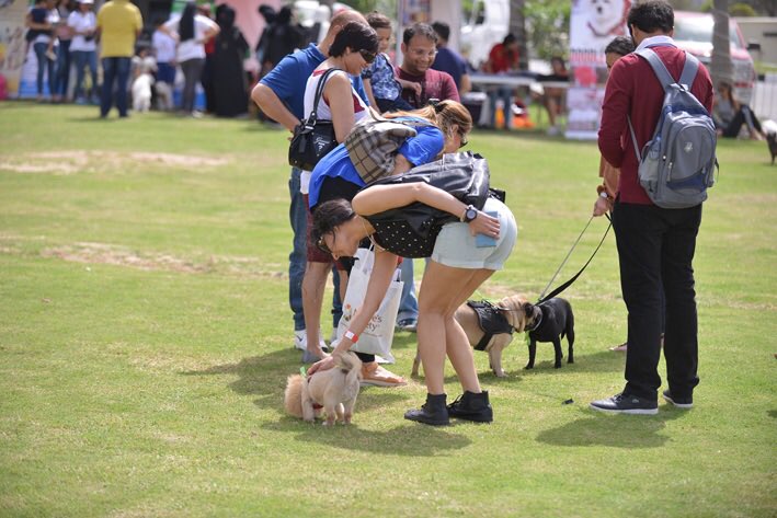 DiversionGroup's tweet photo. Stay tuned for more #DubaiSocialPetPark #PetLovers #MyDubai #Dubai #EventsInDubai #dxb #mydxb #UAE #DubaiLife https://t.co/IyKEyYPbQG