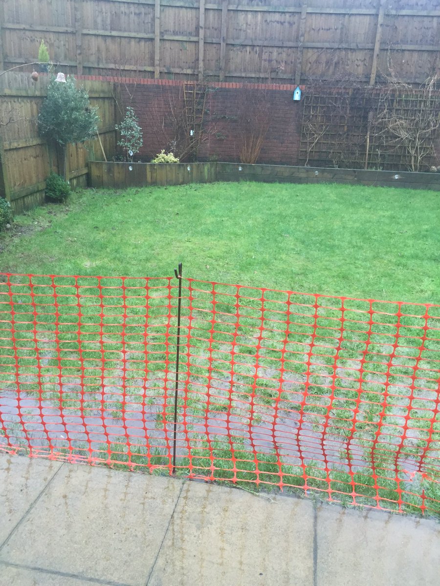 RichyHaile's tweet photo. @RedrowHomes after watching last nights x ray about water logged gardens , here are a few of my garden/pond https://t.co/Ie7KuPEgem