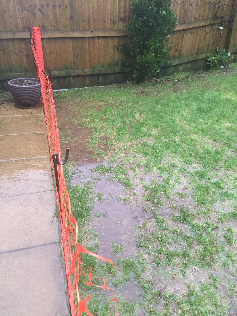 RichyHaile's tweet photo. @RedrowHomes after watching last nights x ray about water logged gardens , here are a few of my garden/pond https://t.co/Ie7KuPEgem