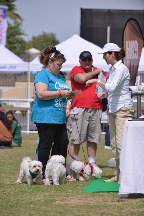 DiversionGroup's tweet photo. Stay tuned for more #DubaiSocialPetPark #PetLovers #MyDubai #Dubai #EventsInDubai #dxb #mydxb #UAE #DubaiLife https://t.co/rVCMKyNSEM