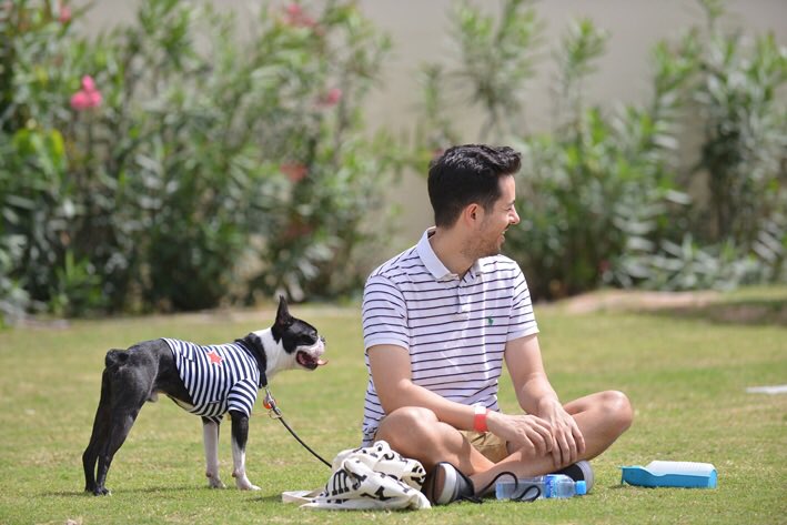 DiversionGroup's tweet photo. Stay tuned for more #DubaiSocialPetPark #PetLovers #MyDubai #Dubai #EventsInDubai #dxb #mydxb #UAE #DubaiLife https://t.co/rVCMKyNSEM