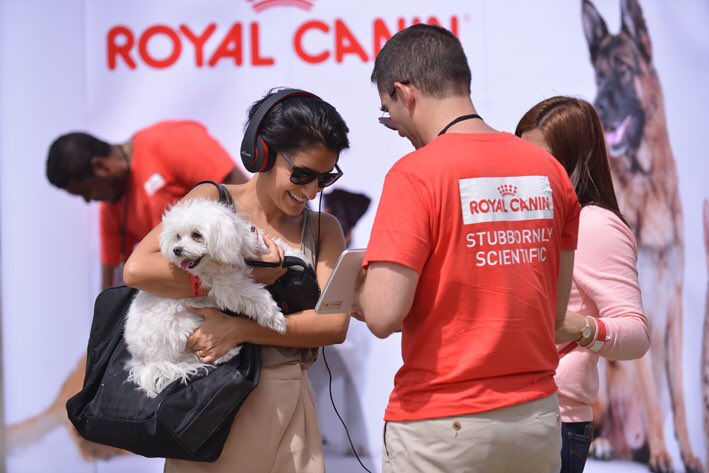 DiversionGroup's tweet photo. Stay tuned for more #DubaiSocialPetPark #PetLovers #MyDubai #Dubai #EventsInDubai #dxb #mydxb #UAE #DubaiLife https://t.co/KLLjpoSU1V