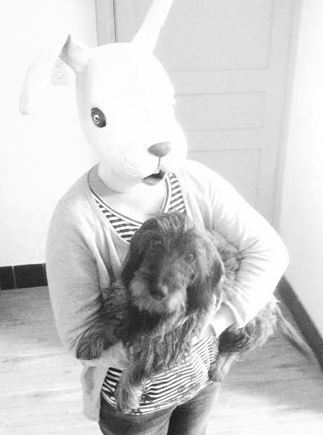 PALElegroupe's tweet image. Sortir....le chien ne demande que ça !