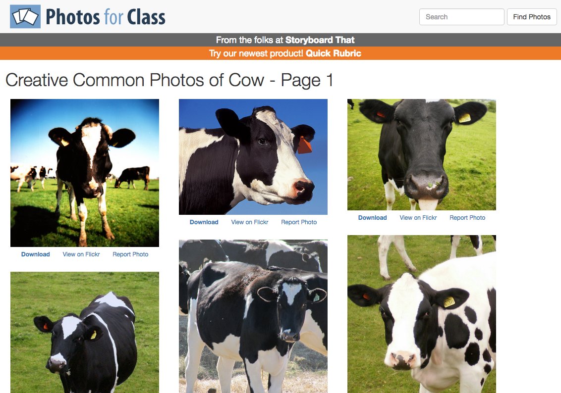 OnlineCrsLady's tweet image. @harmonygritz oh, this is cool! I found COWS photosforclass.com/search?text=cow #OpenTeachingOU thanks @JillBromen for this