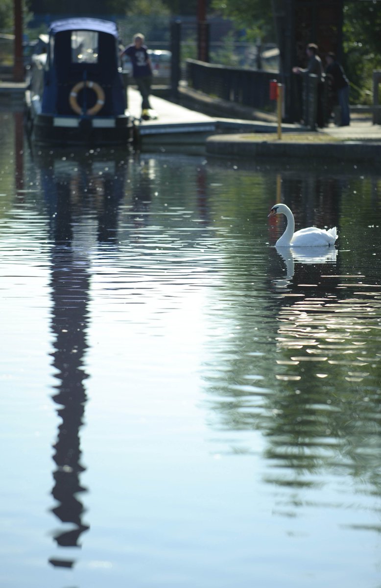 urban_splash's tweet photo. There’s more to garden living in #hoUSe New Islington with Cotton Field Park &amp; Marina!
#DiscoverUS #GreatOutdoors https://t.co/Hzu2d2weMu