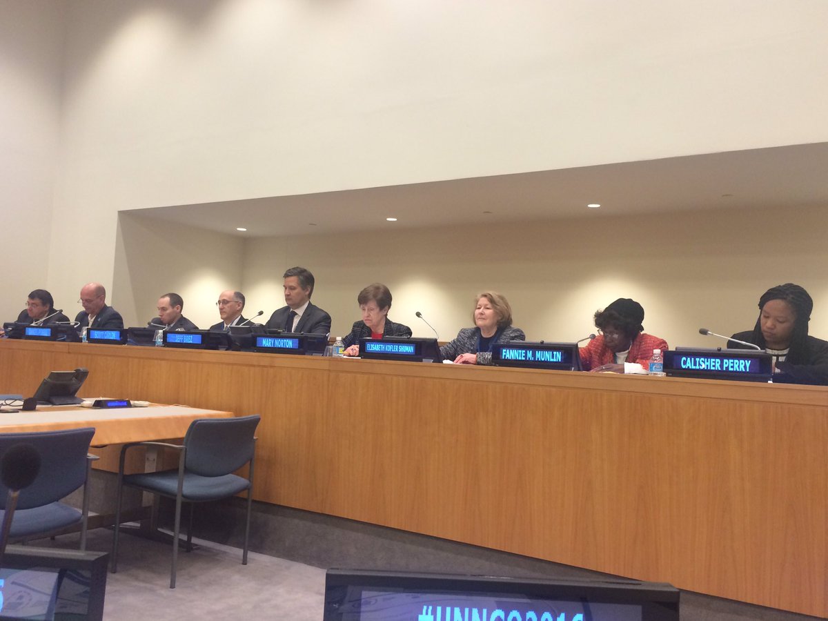 hwossenyeleh's tweet photo. UN DPI NGO Town Hall meeting to brief NGOs on the planning process of the Conference  #UNNGO2016 #DPINGO https://t.co/N092KBbLRA