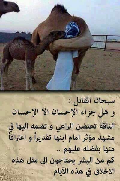 هجرك آلم (@1030690000f) on Twitter photo 