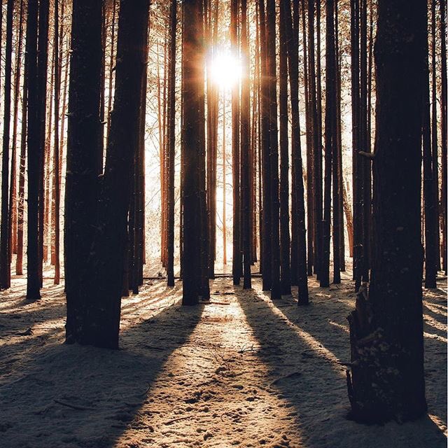LittleCityLove's tweet photo. “All I can do is be me, whoever that is.” -- Bob Dylan (Photo: Mitch Geiser) #exploringwithwords https://t.co/e7VJ5Hb8iG