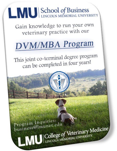 LMU_Business's tweet photo. We have partnered with @LMU_CVM to bring LMU veterinary medical students a dual degree! #LMUbiz #GoToGradSchool https://t.co/oZ2ffb1xwy