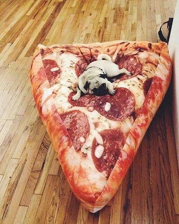 EJsPlace's tweet photo. What dog wouldn't love this?! #EJsplace #dogs #welovepizza https://t.co/IWlzCEktQ7