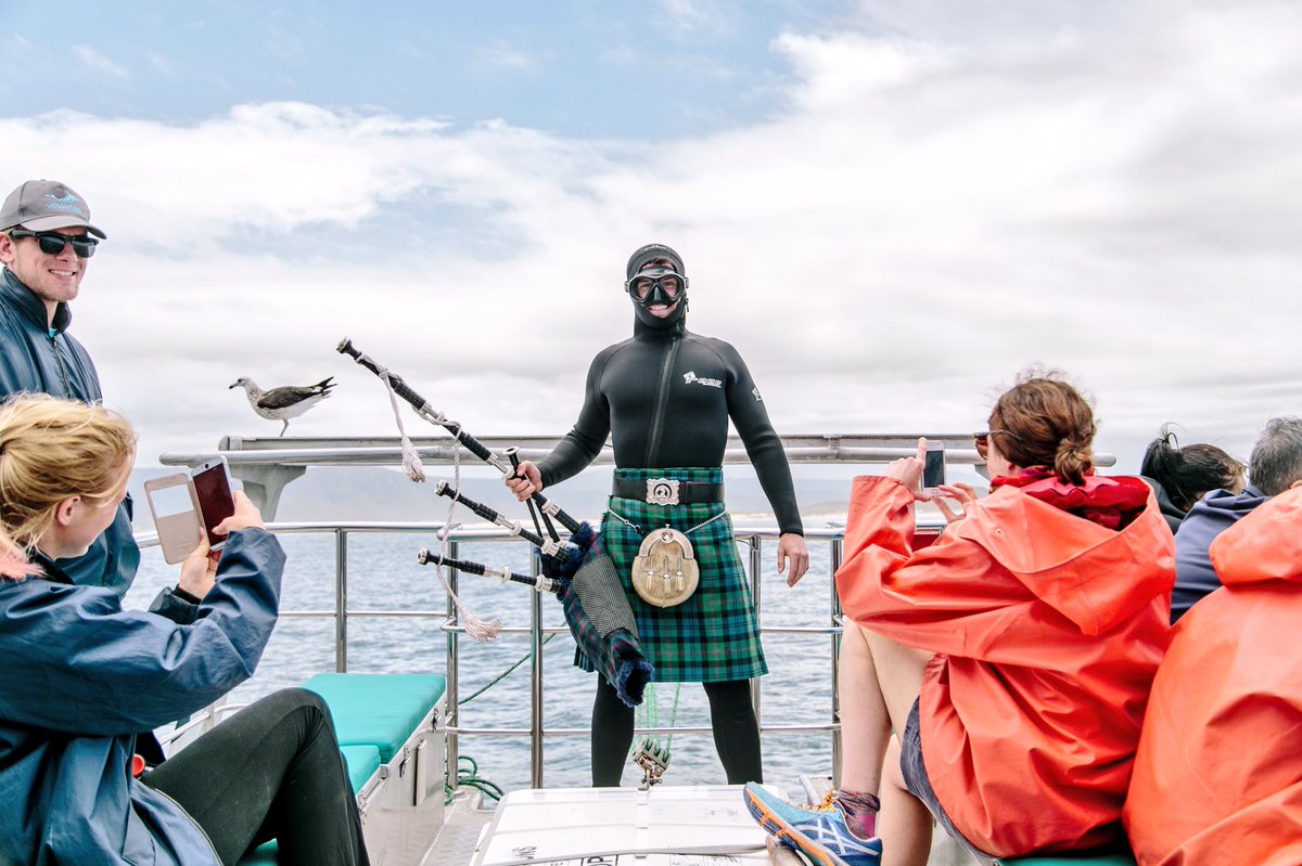 FirstPiper's tweet photo. Just another day piping... in a wetsuit π³ The birds made a great audience but the Sharks killed it ππ» #BagpipeCT πΏπ¦ https://t.co/VMSq8djOKE