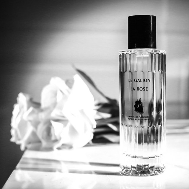 Perfume_Society's tweet photo. Discover the fascinating ‘phoenix’ perfume house @LeGalionParfum  w/ us on 6th Apr @ Liberty https://t.co/8G8z1BCNN8 https://t.co/Z1DFszxeDW
