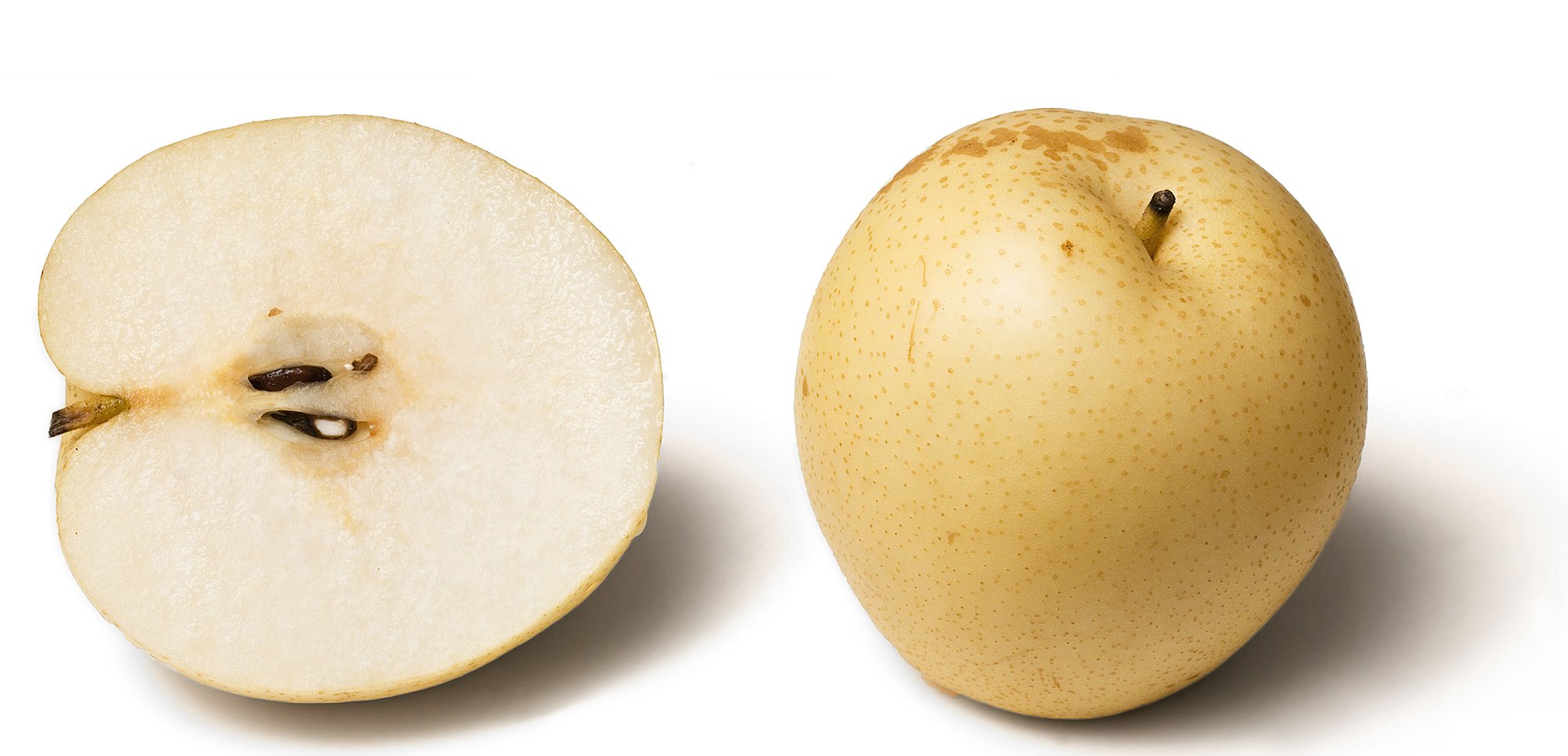 Ботаничка on Twitter: "Нэши (Nashi pear) — плоды Груши грушелистной ...