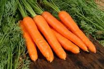 coelhopequente's tweet image. Vsmos comer #Cenouras..mas pra golpistas eu num dou... #RenunciaTemer...