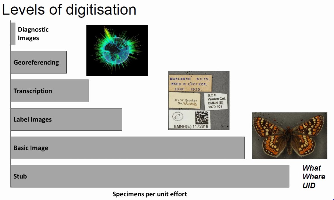idbdeb's tweet photo. Scenes from #Inselect Webinar @iDigBio with @ento_ben @quicklizard https://t.co/RNwH4A9qGG https://t.co/3lQcMlMcWD