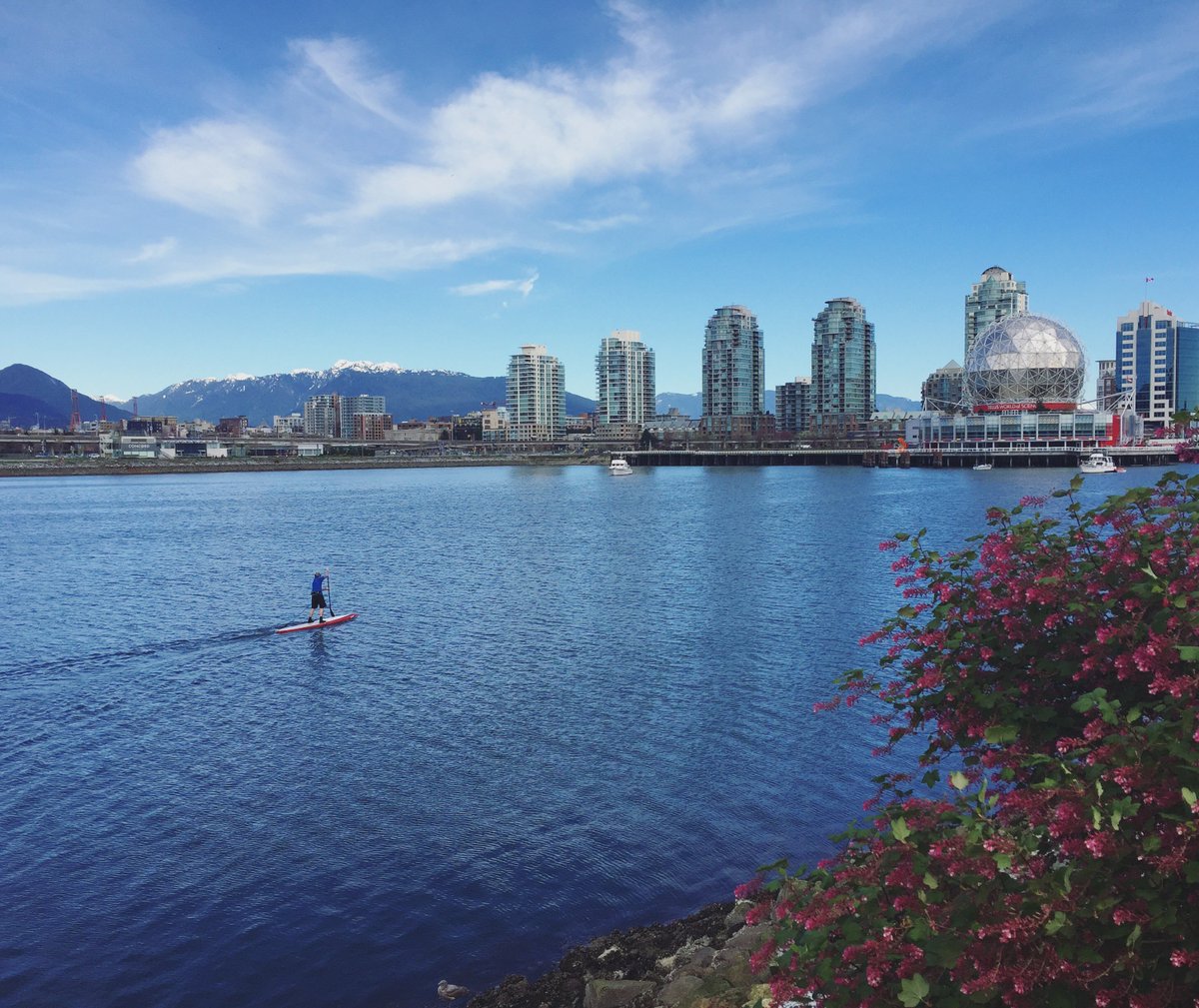 MPMGarts's tweet photo. #Lunchtime walks at LMPR 💙☀ #CantComplain #LMPRlife #WeLoveVan #yvr #FalseCreek https://t.co/oabRTkyDmo