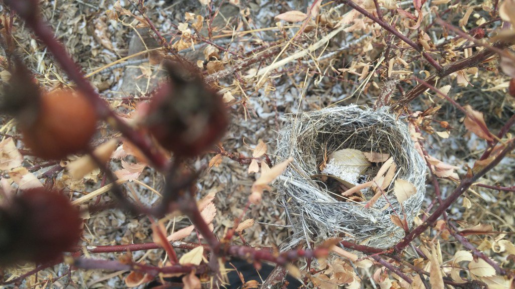 Brad Bauer tweet media