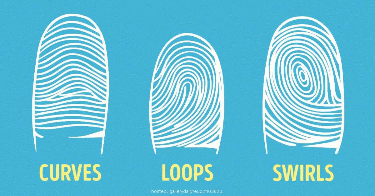 DailyReup's tweet image. What Your Fingerprints Really Say About You

READ HERE -&amp;gt; re.g-ram.co/1LnwZci