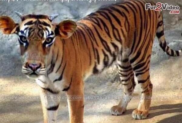padresalvajee's tweet photo. JAJAJAJAJAJAJAJAJAJAJAJAJAJAJAJAAJAJAJAJAJAJAJAJAJAJAJAAJAJAJAJAJAJAJA https://t.co/Y2UCYKsAig