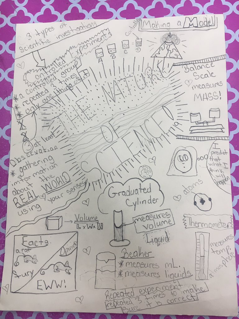 missmendysclass's tweet photo. Time to review for Science FCAT!Check out these #picturenotes for the Nature of Science! #BrowardK12 @RamblewoodElem https://t.co/gZPFxt75kt