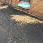 Photo by Block Paving People (@PavingPeople)