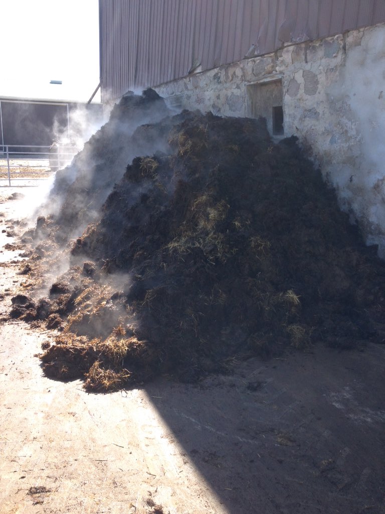 kevin_sluys's tweet photo. Just have a look at it! 50/50 poultry litter and heifer manure, what a hot mess! #DIYfertilizer https://t.co/lFFUANN23i
