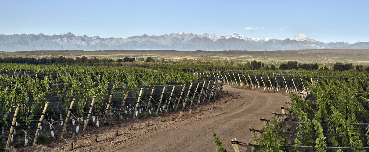 Agradecemos a @BodegaCasarena su apoyo para #BestWorldSommARG2016