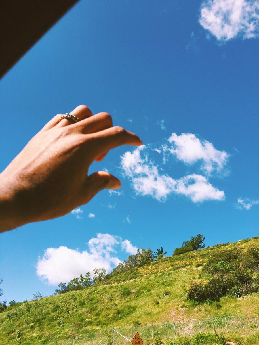tylerthecreator's tweet photo. https://t.co/wEy0QYqSXg