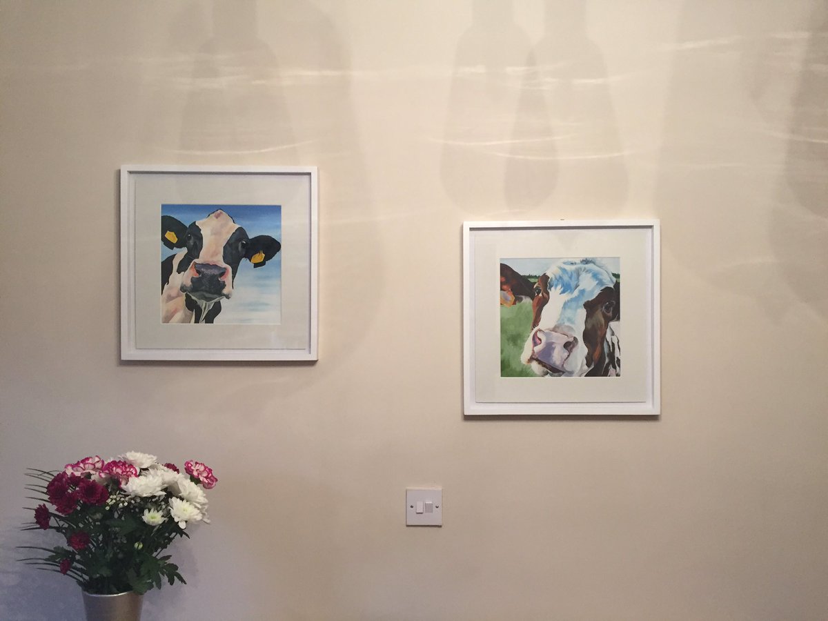 MelenaMoore's tweet photo. @LaurensCows Finally finished decorating and been able to put up Betty Blue and Molly - love them 😃 https://t.co/sEI3R367Nh