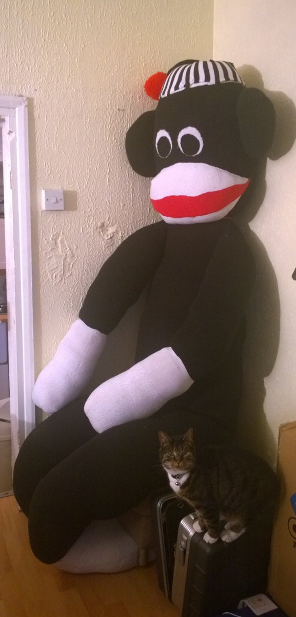 GuinnessMonkey's tweet photo. Hello sock monkey fans! Happy to announce that Guinness made it safely back to his new home and has been settling in https://t.co/klZW1fvSOB