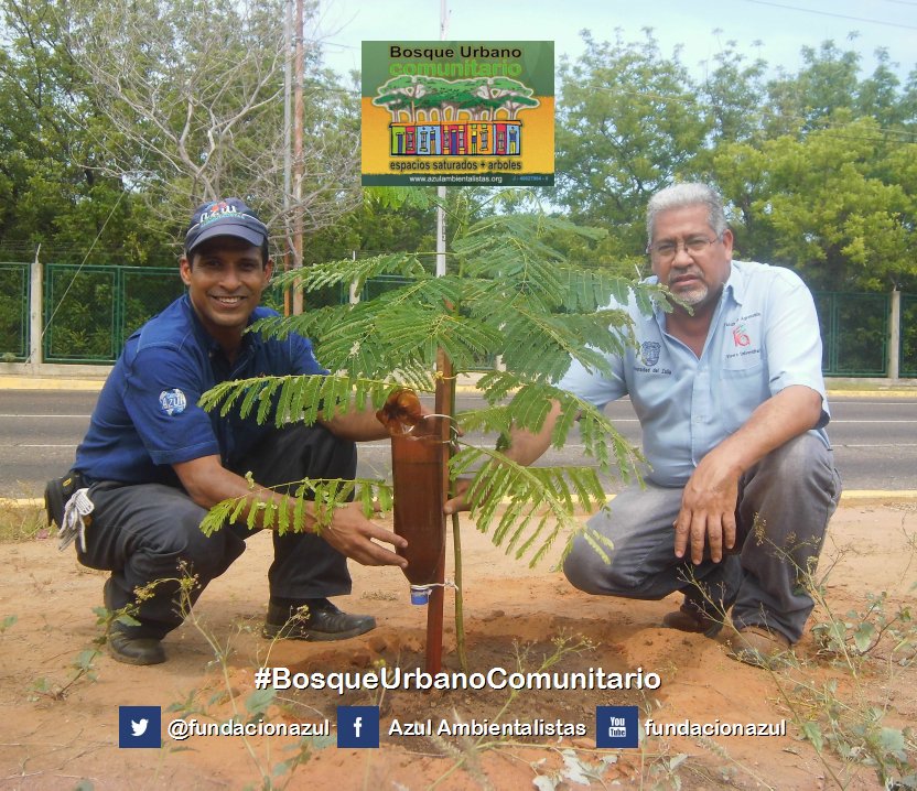 fundacionazul's tweet photo. Digamos juntos: #YoPlanteUnÁrbol → https://t.co/MIcKR3bEnQ https://t.co/Q6t4yAZaam