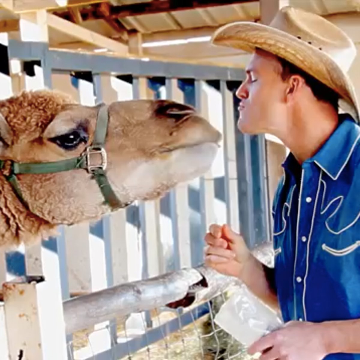 BlueMtState's tweet image. Thad’s zoo needs your help! @HollywildParkSC suffered tragic losses. Help them recover! gofundme.com/yjqwqvfy