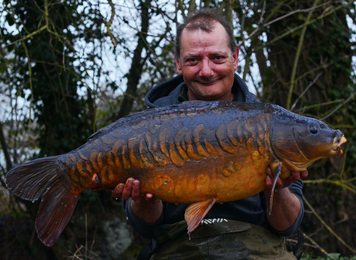 StickyOfficial's tweet photo. A heavily scaled mirror with apple slice scales for Promo Team member Mark, which took a liking to the Manilla. https://t.co/9G5HBl8Z6b