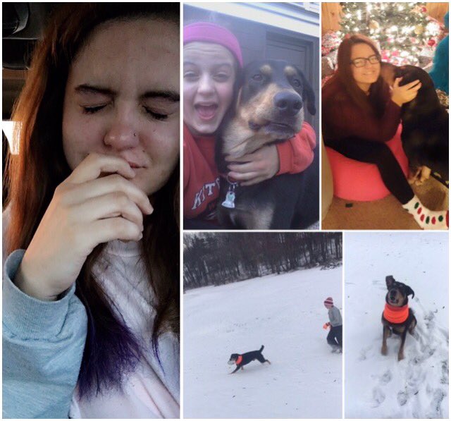recoveryiscool2's tweet photo. Rest in peace to an amazing dog and part of my family. We love you baby. R.i.p ❤️ i cried all day. Ily.😭🐶 https://t.co/XDUn0RBqn6