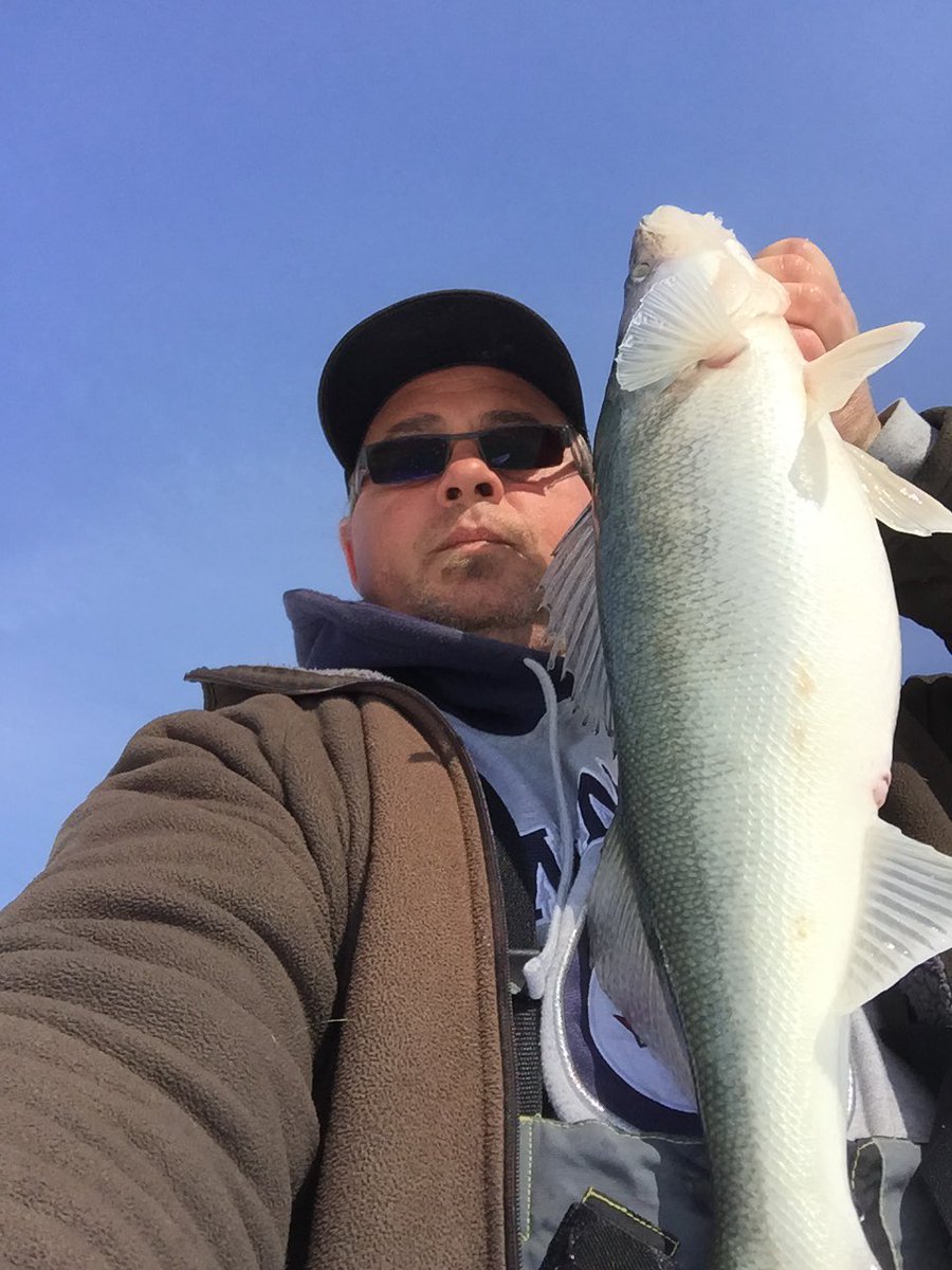 Fishinmilitia's tweet photo. Great weekend catchin some nice footballs. #BeCarefulWhatYouFishFor #FishThug #Manitoba #Greenback #LakeWinnipeg https://t.co/lxg66vIAvB