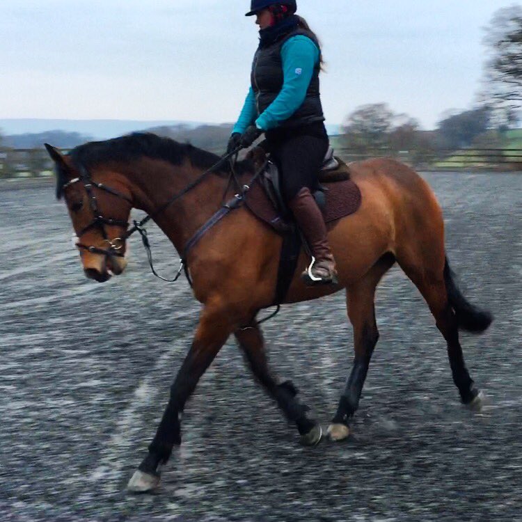 filly_89's tweet photo. Fiddle pony posh trotting ❤️😍😘 https://t.co/2OzVrMEidA