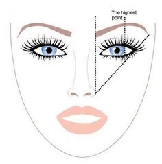 chocorellla's tweet photo. Take notes. If you don't meet this guideline, you're welcome. #fixyourbrows #itsnothard https://t.co/S2plN4YH82