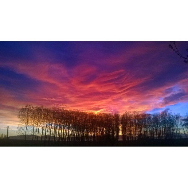 cat_testimo's tweet photo. Posta de sol d'avui desde Cassa de la Selva. Bonanit! Buenas noches! Goodnight! #celscatal… https://t.co/R5YUaQW9jS https://t.co/bPxAh8Uflf