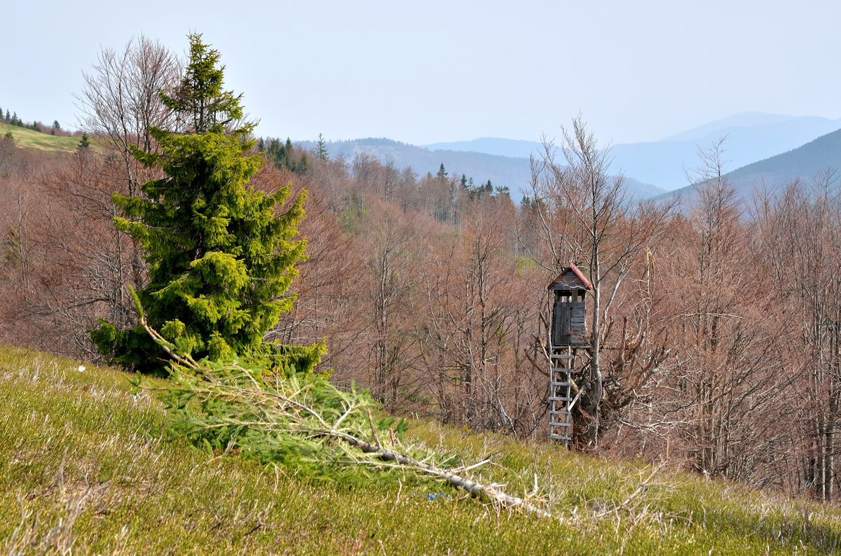 #TravelTuesday, Where is your favorite place to Shoot?