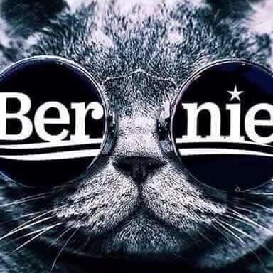 TGilley1's tweet photo. #pets4Bernie #HeswithUs #Vets4Bernie #AlwaysSanders #weareBernie #womenforBernie #babiesforBernie https://t.co/FBp4HXUQ5I
