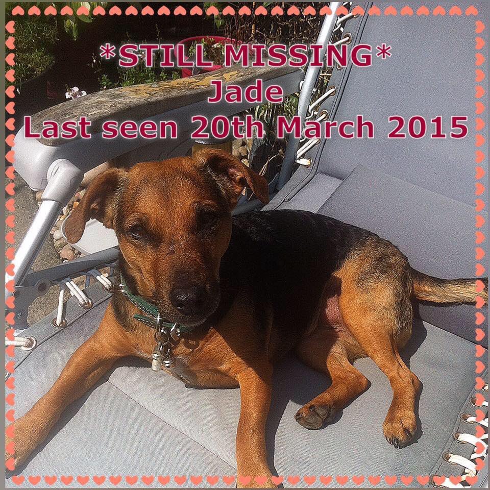 <a href="/findrubyandjade/">Find Ruby & Jade</a> 💕