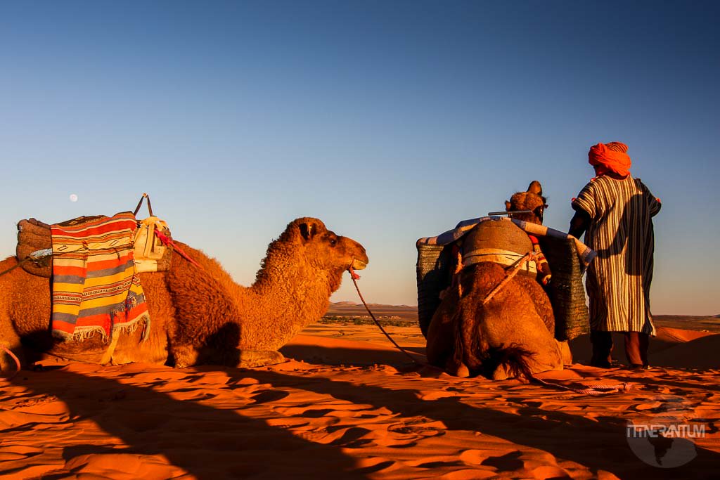 itinerantum.com/photo-of-the-d…