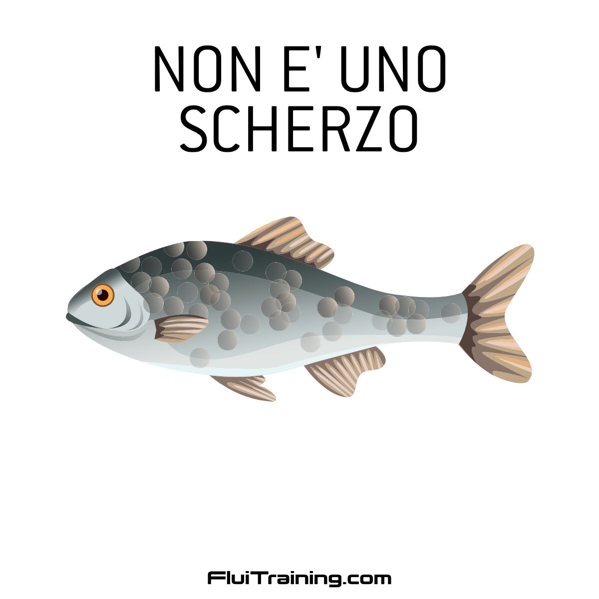 VolleySC's tweet image. Non è uno scherzo!
 #maxiofferta #FluiBall

Se acquisti 3 FluiBall la 4ª costa 1€

#GermaniaItalia #pallamedica